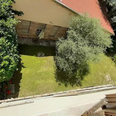 Stephy House *
