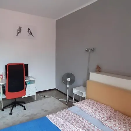 홈스테이 Stephy House 파도바